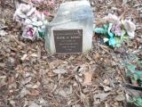 image of grave number 619114